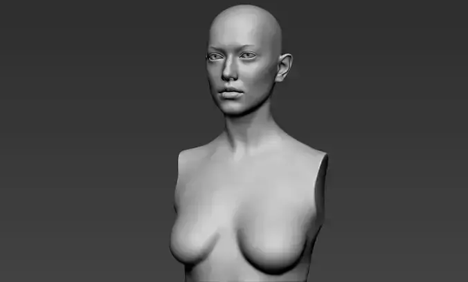 Female Upper Body Sculpt 3D model