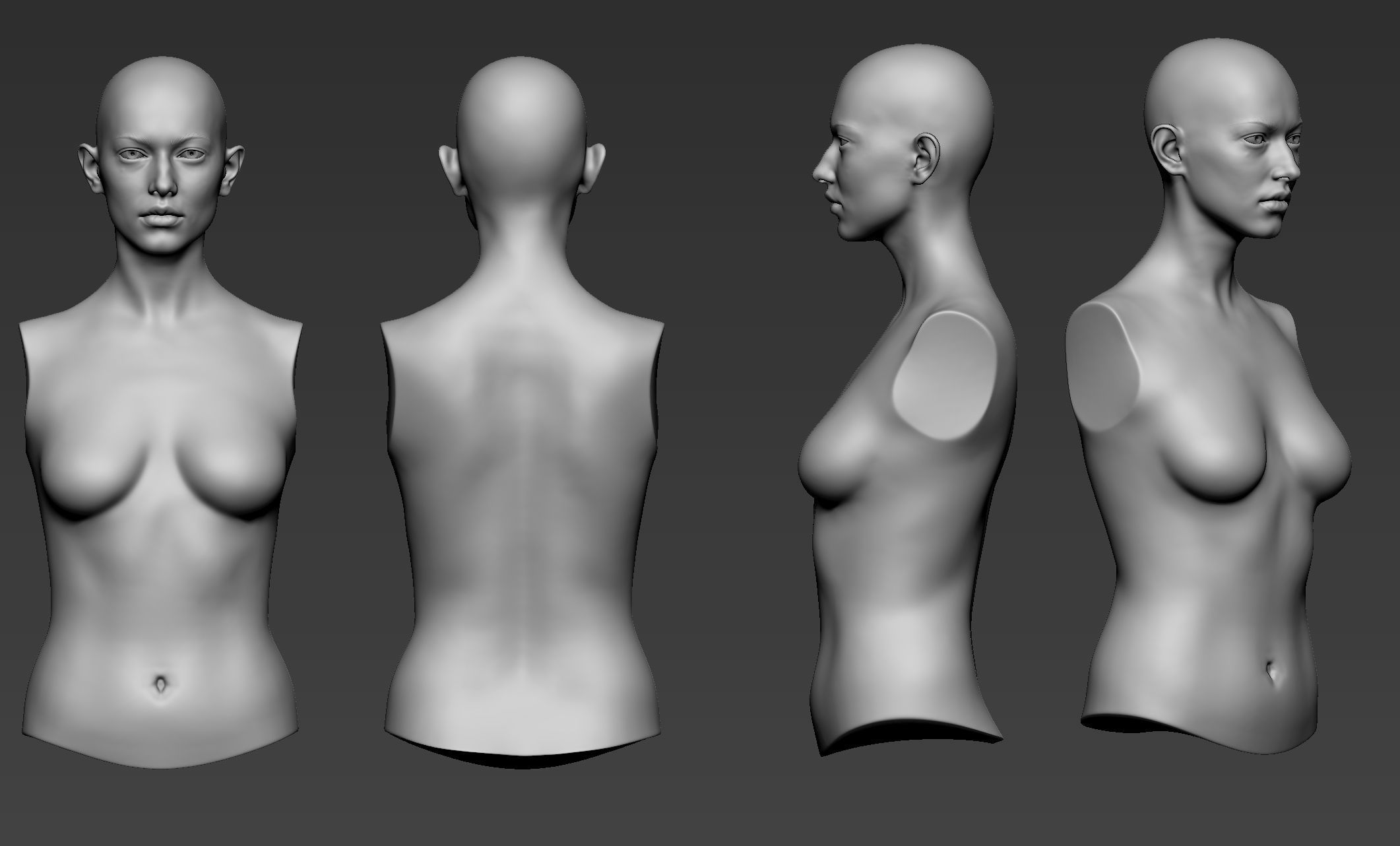 Female Upper Body Sculpt 3D model_10
