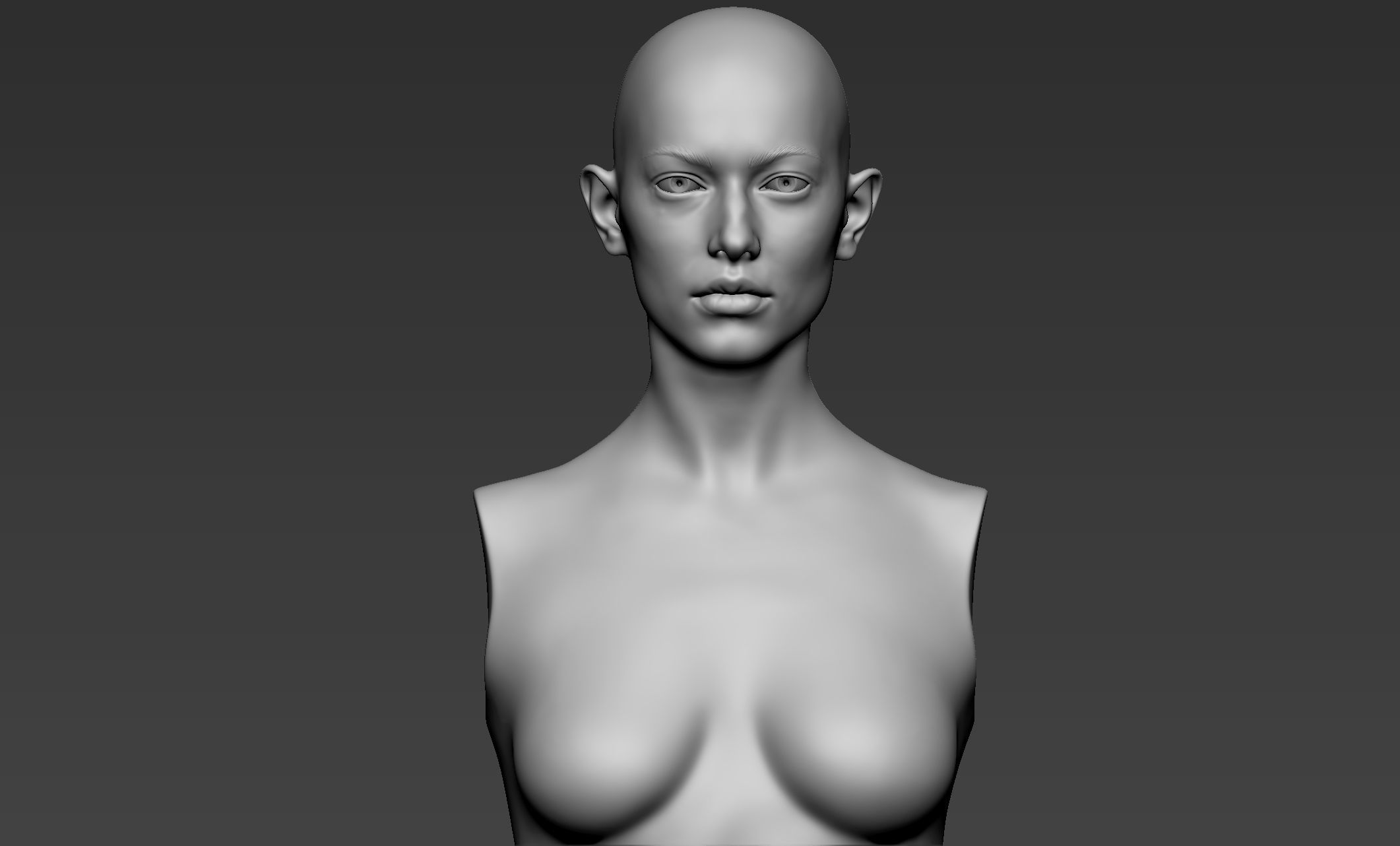 Female Upper Body Sculpt 3D model_2