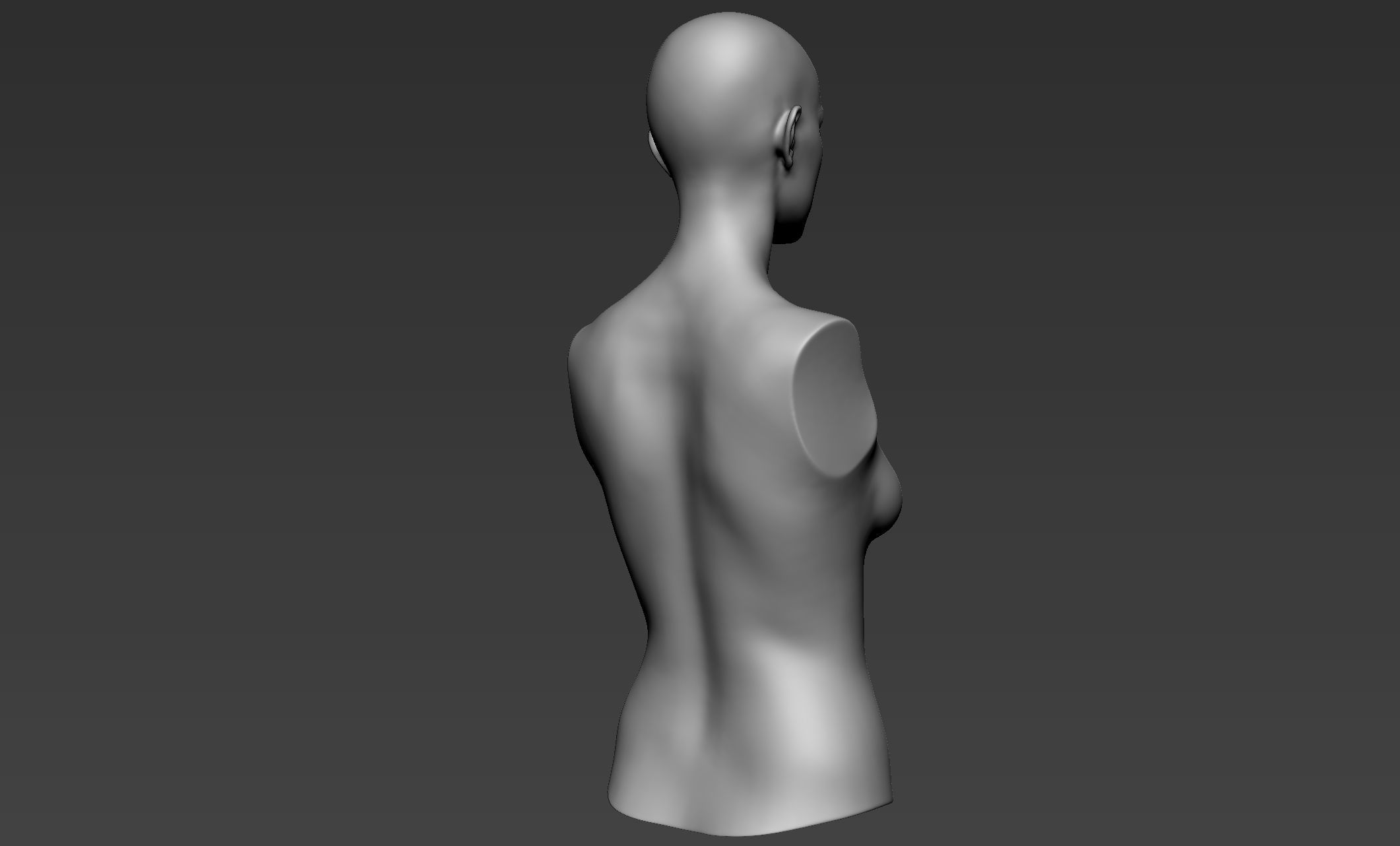 Female Upper Body Sculpt 3D model_7