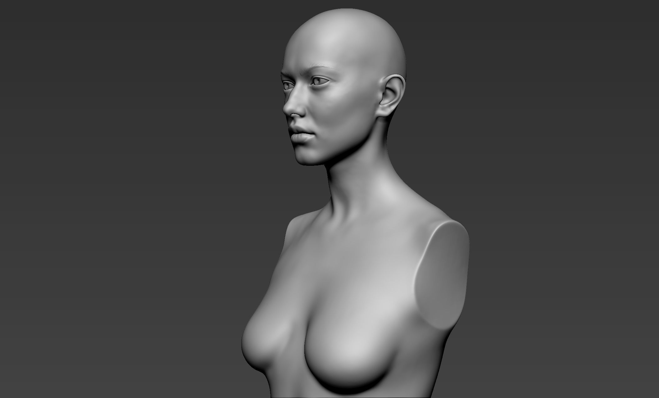 Female Upper Body Sculpt 3D model_3