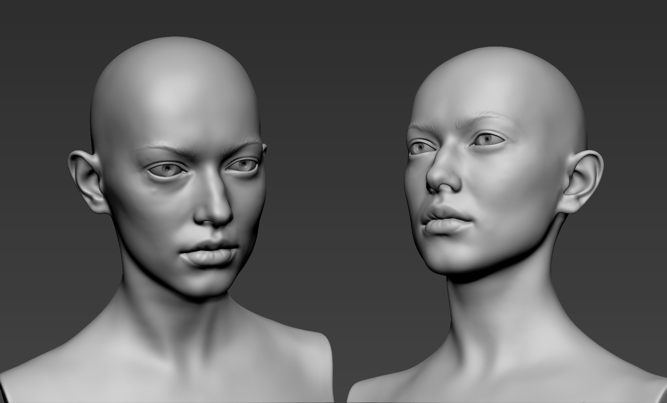 Female Upper Body Sculpt 3D model_1