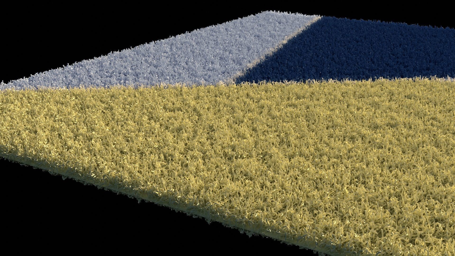 Carpet 01 Free 3D model_8