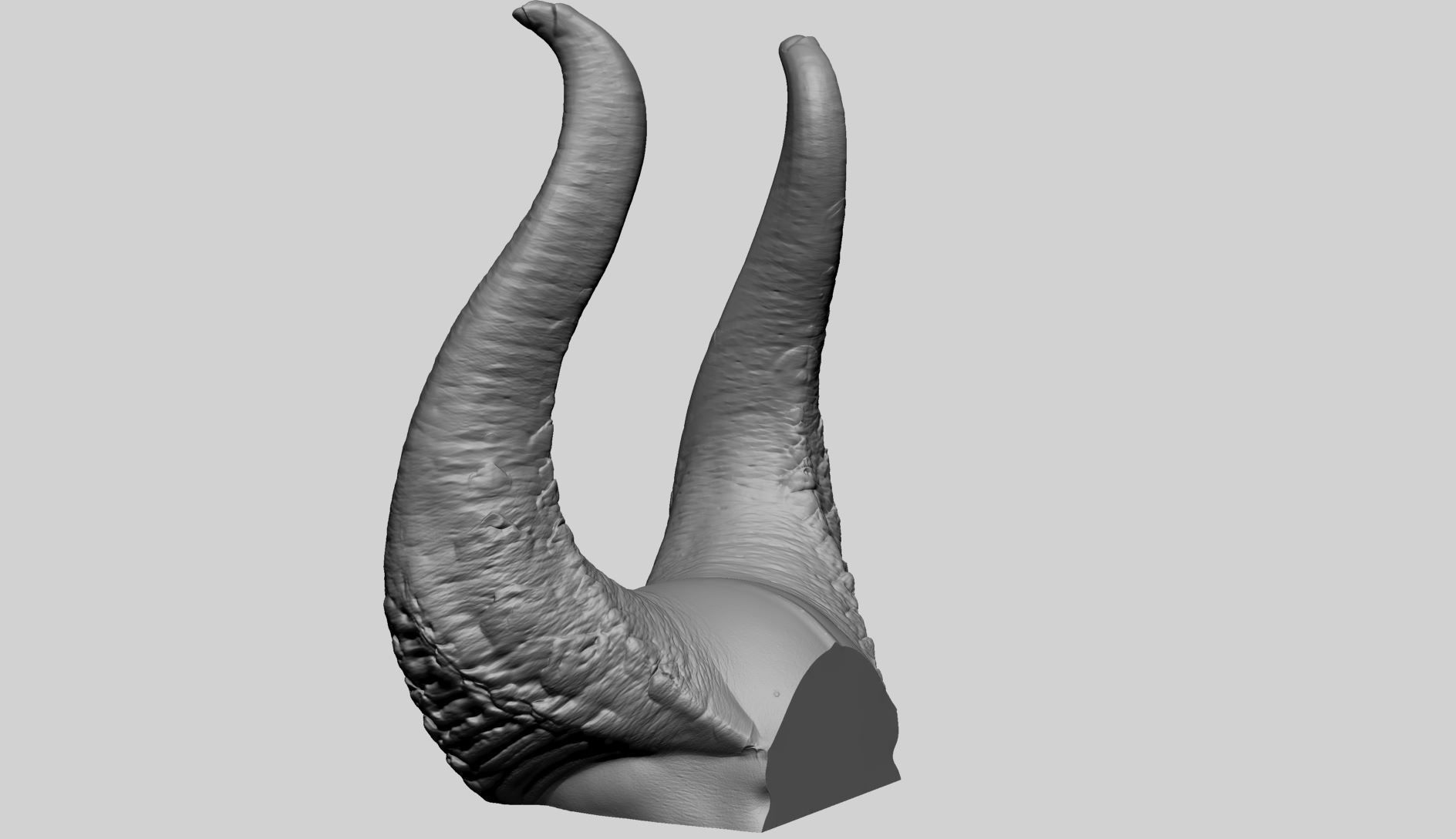 Horn Printable A 3D print model_1