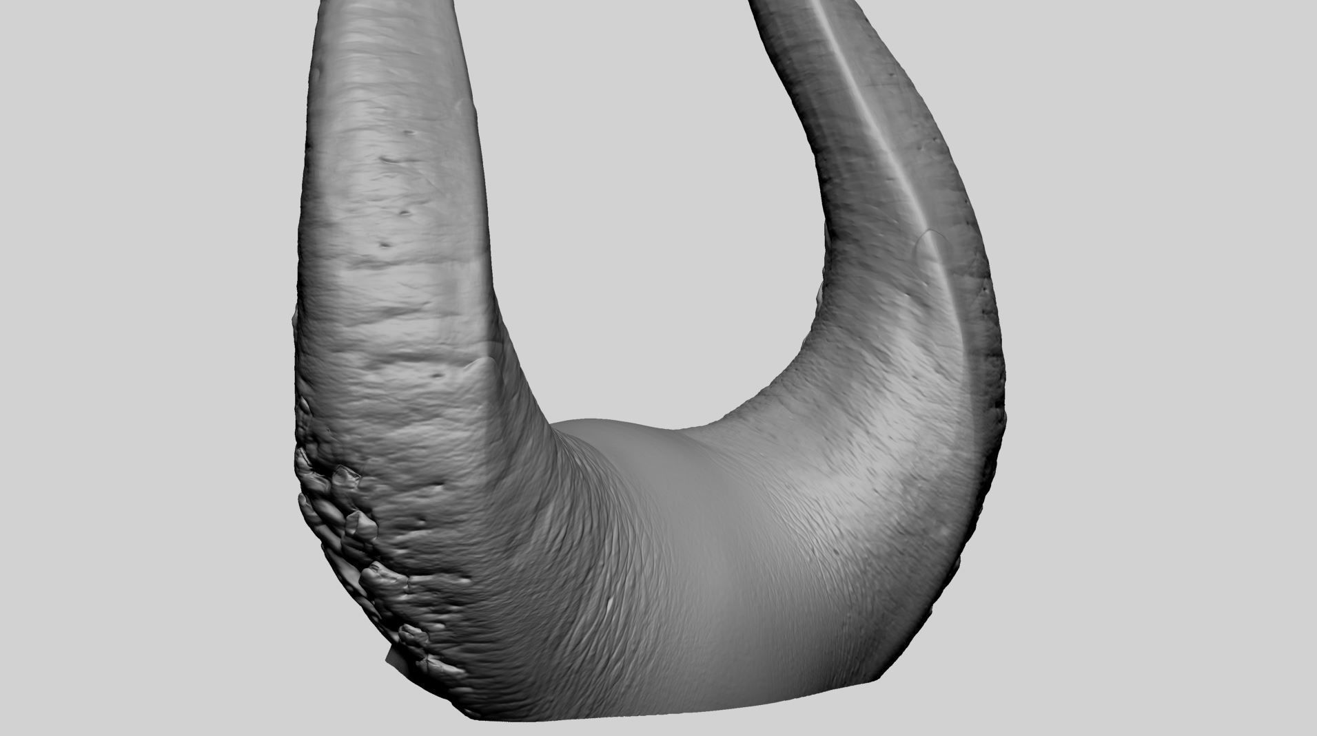 Horn Printable A 3D print model_5