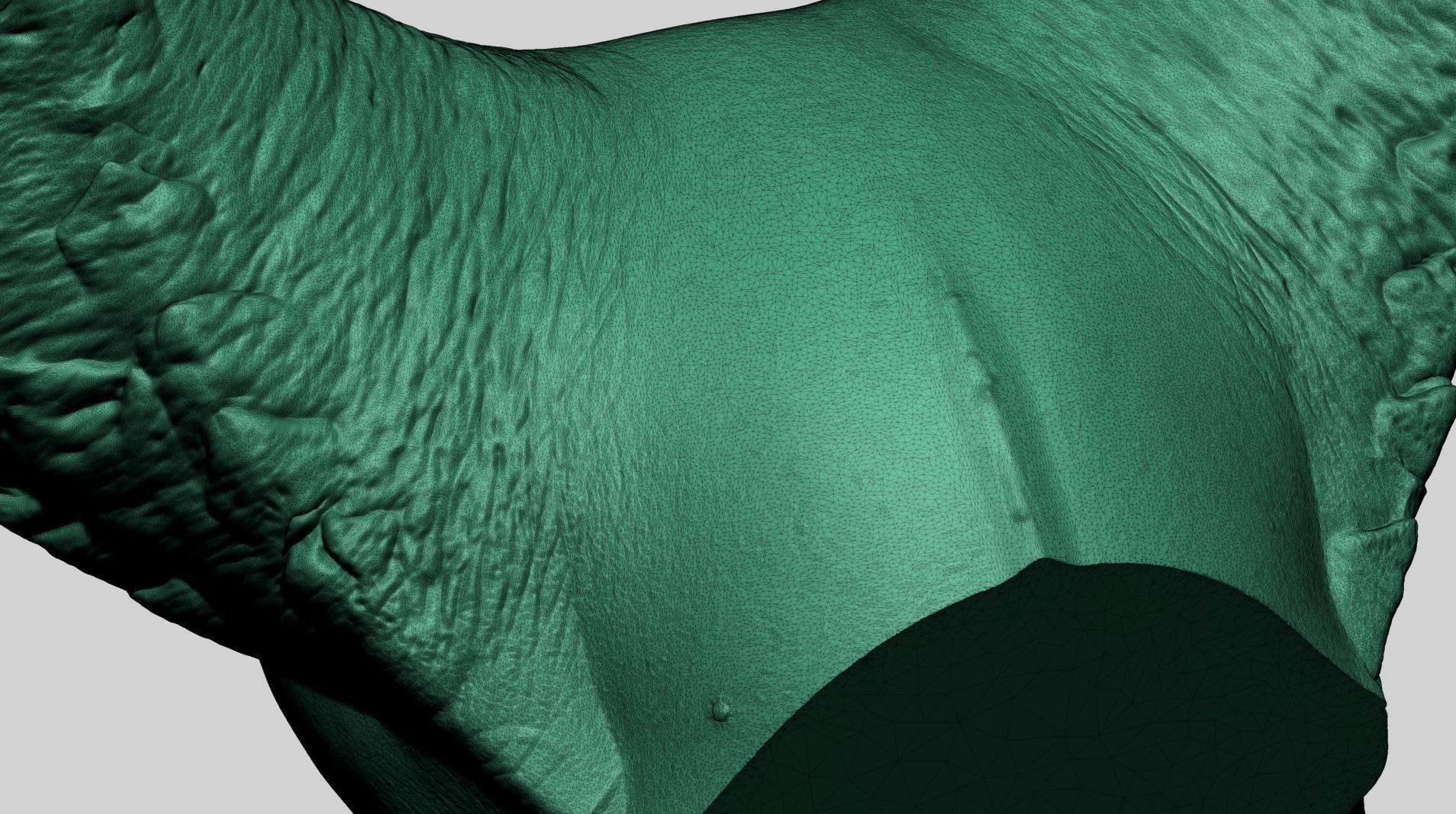 Horn Printable A 3D print model_16