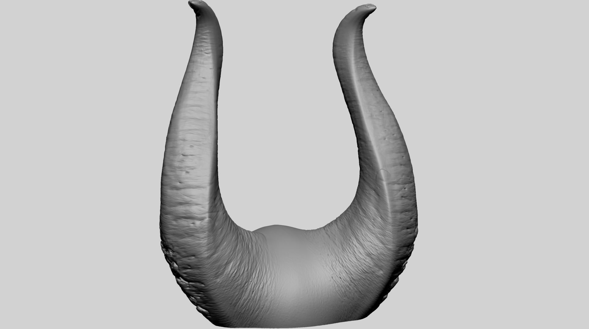 Horn Printable A 3D print model_6