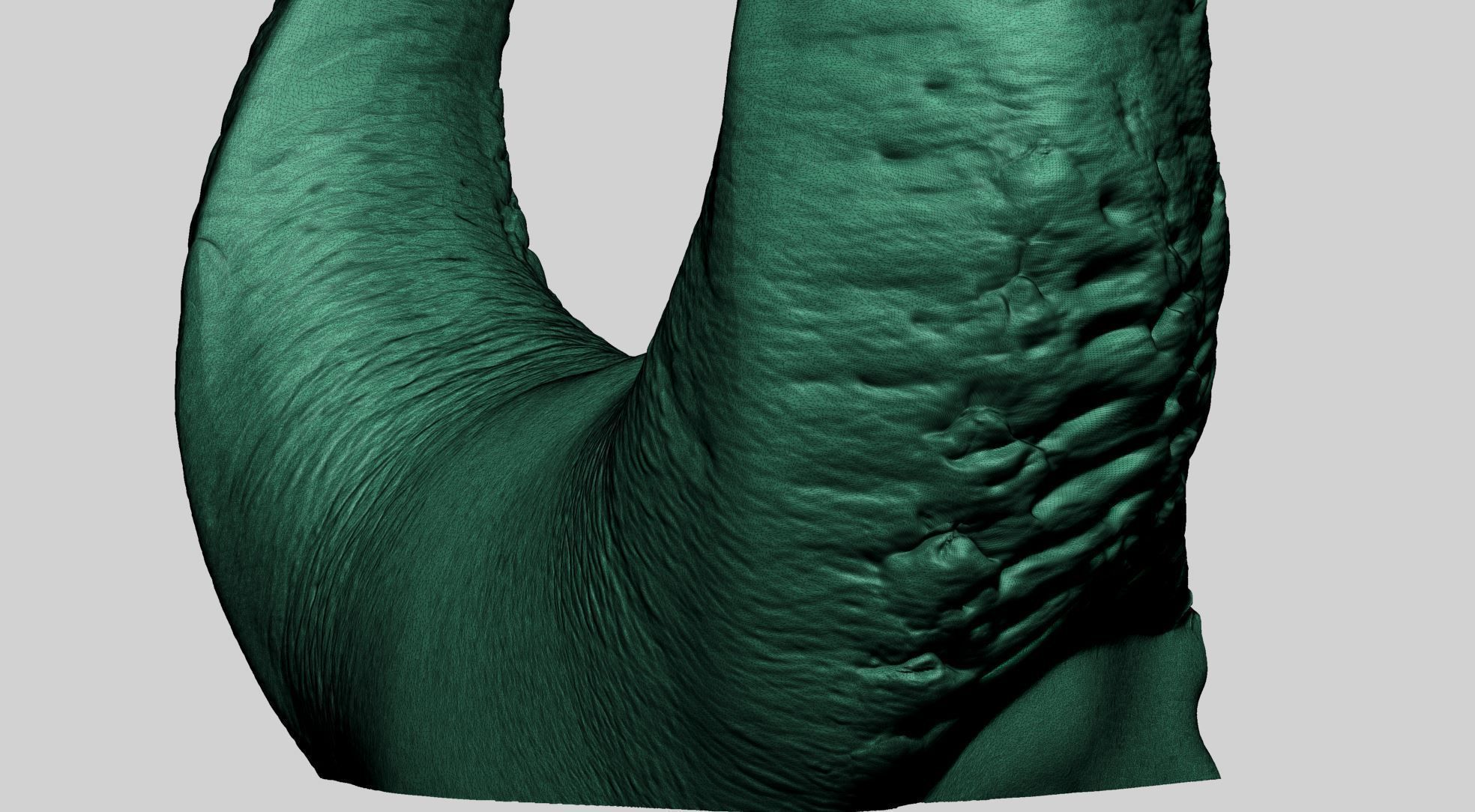 Horn Printable A 3D print model_14