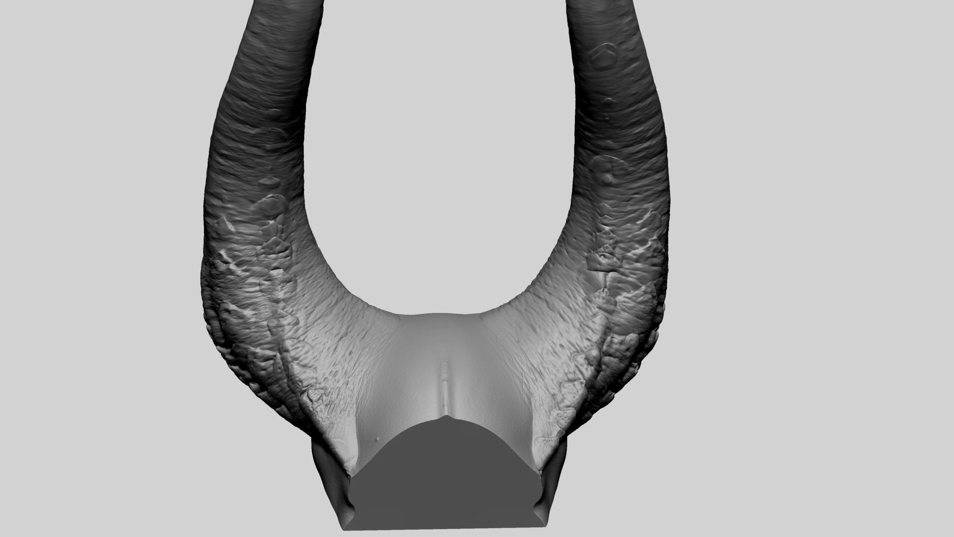 Horn Printable A 3D print model_3