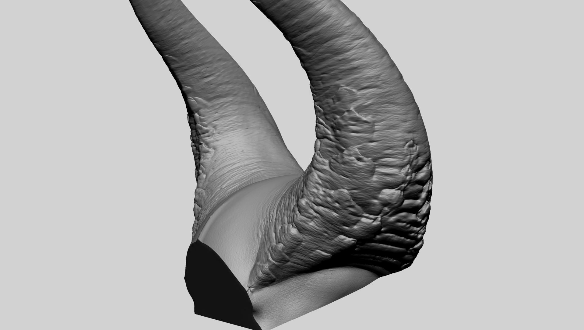 Horn Printable A 3D print model_4