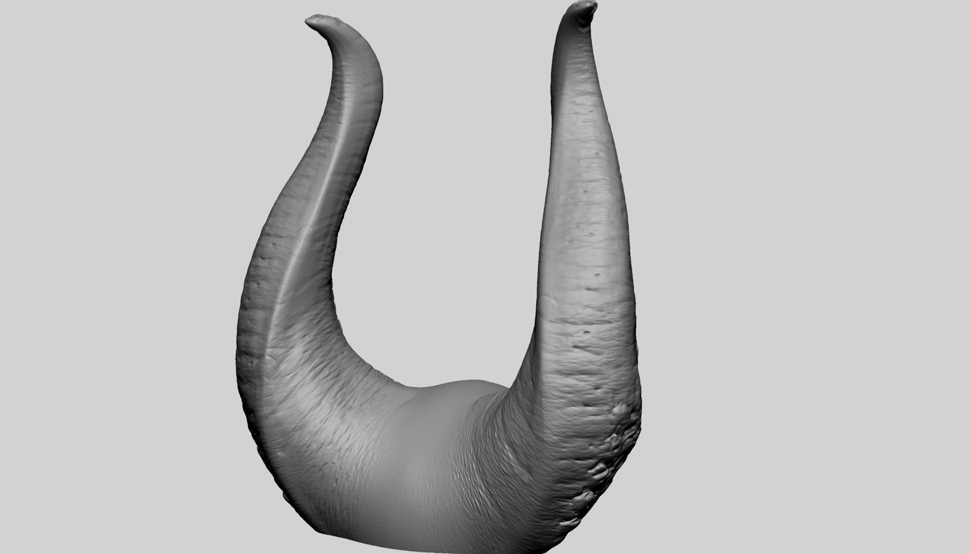 Horn Printable A 3D print model_7