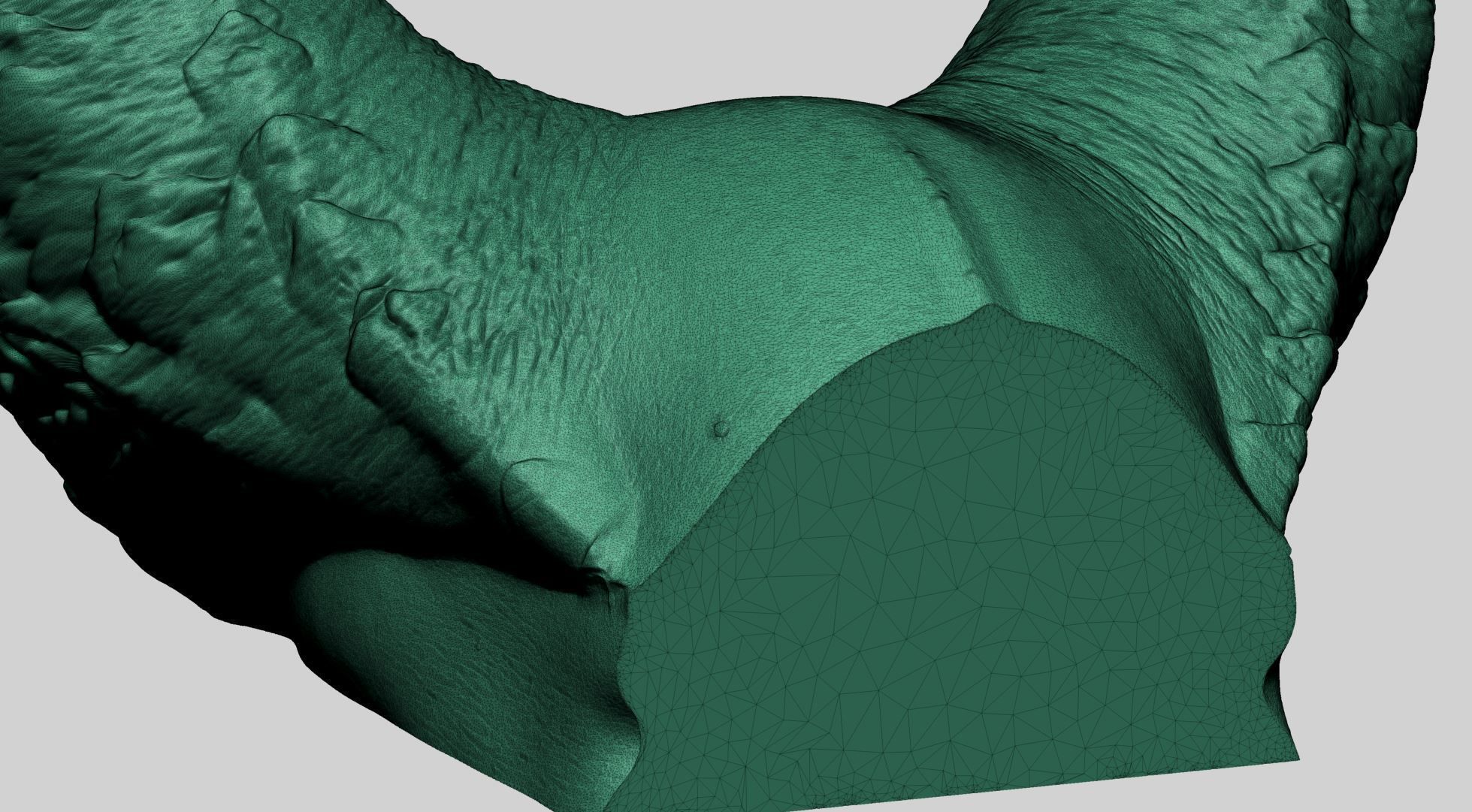 Horn Printable A 3D print model_15