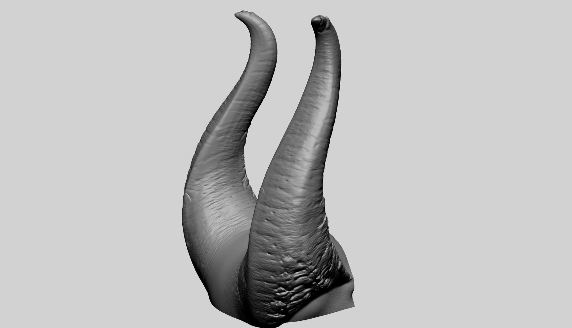 Horn Printable A 3D print model_8
