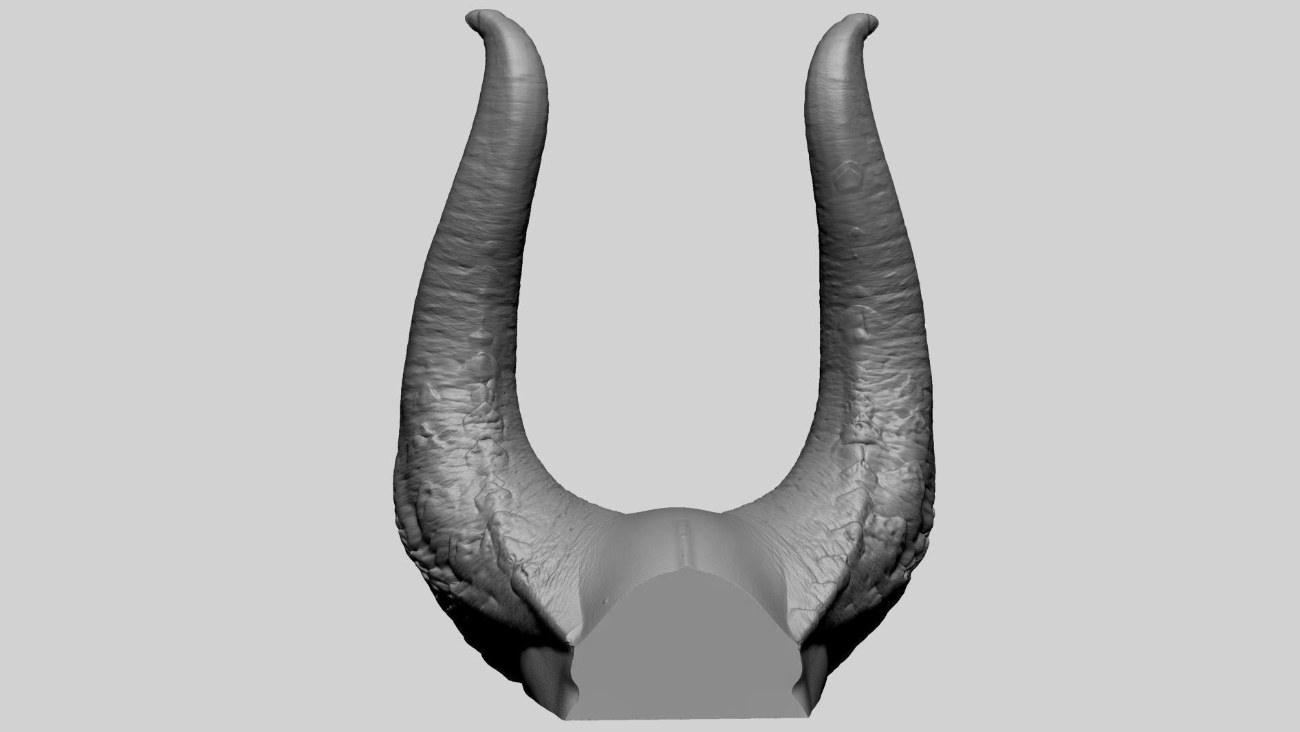 Horn Printable A 3D print model_2