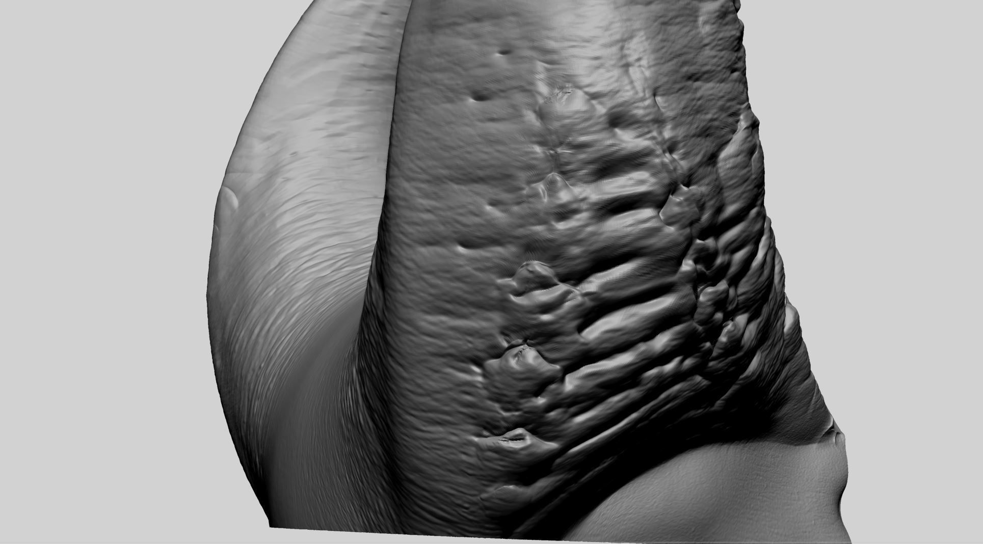 Horn Printable A 3D print model_13