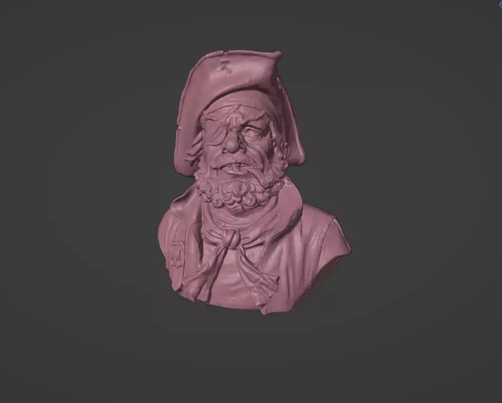 Pirate bust 3D print model