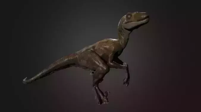 Raptor Photogrammetry