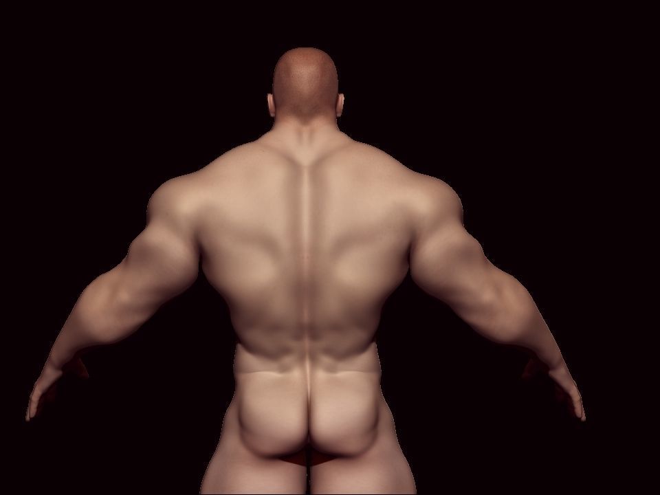 base mesh bodybuilder Low-poly 3D model_8