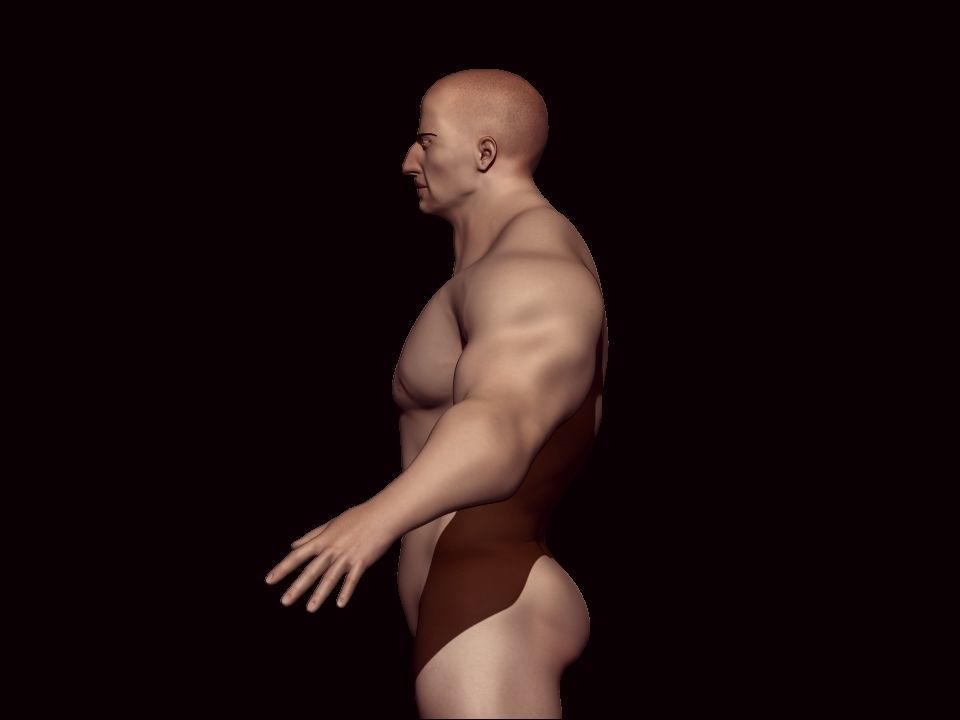 base mesh bodybuilder Low-poly 3D model_7