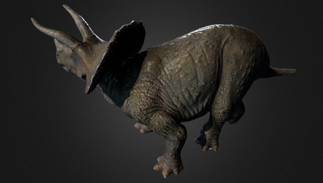 Triceratops Photogrammetry Free 3D model_1