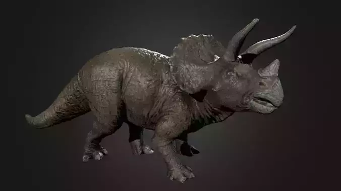 Triceratops Photogrammetry Free 3D model Triceratops Photogrammetry Free 3D model