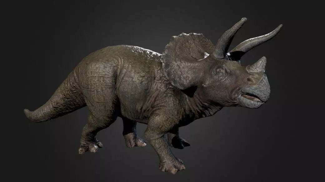 Triceratops Photogrammetry Free 3D model_0