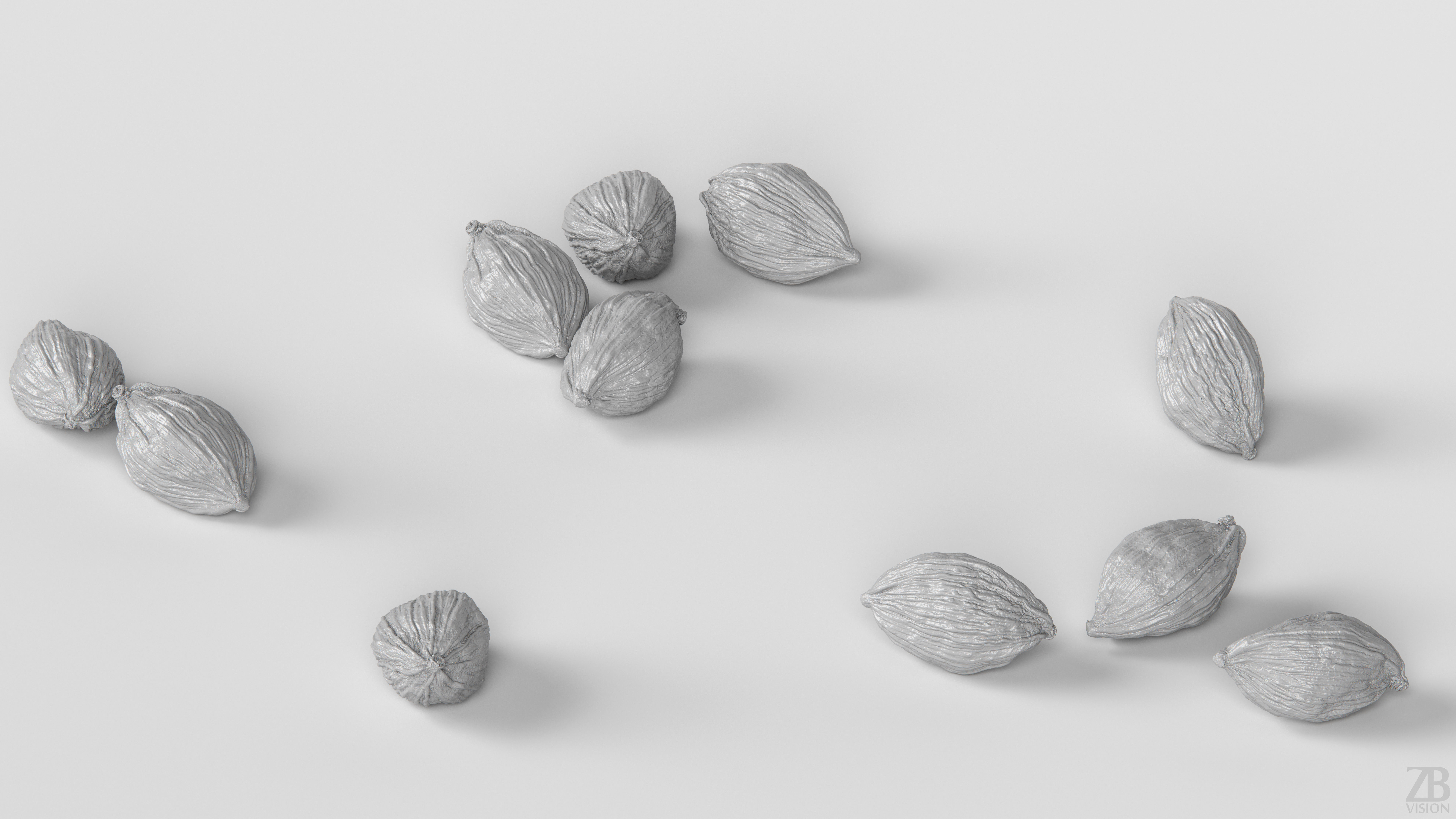 Cardamon 3D model_3