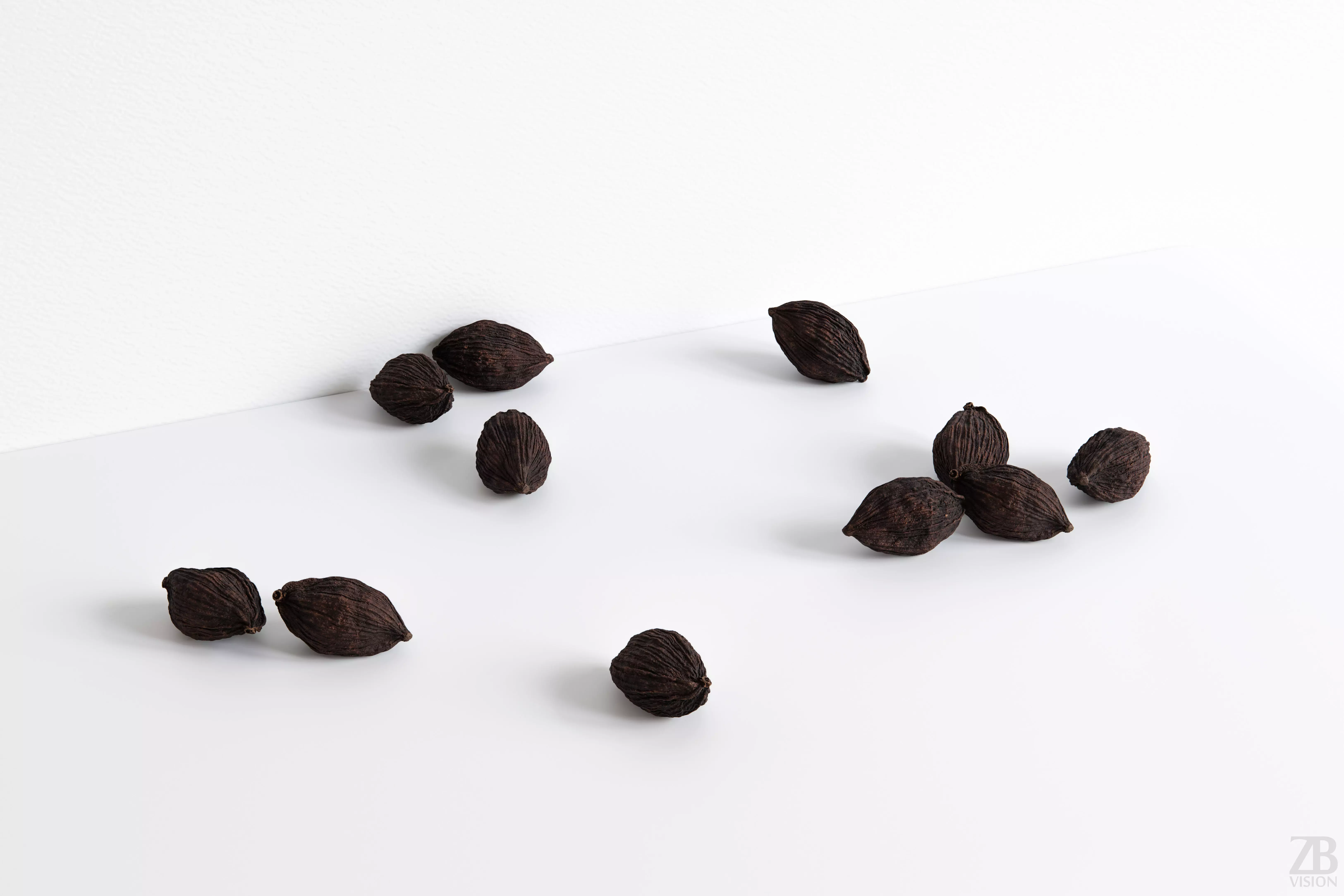 Cardamon 3D model_0