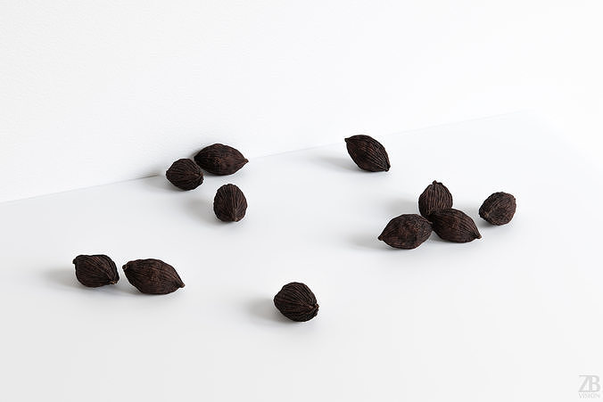 Cardamon 3D model