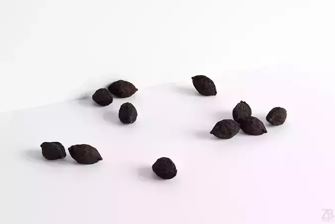 Cardamon 3D model