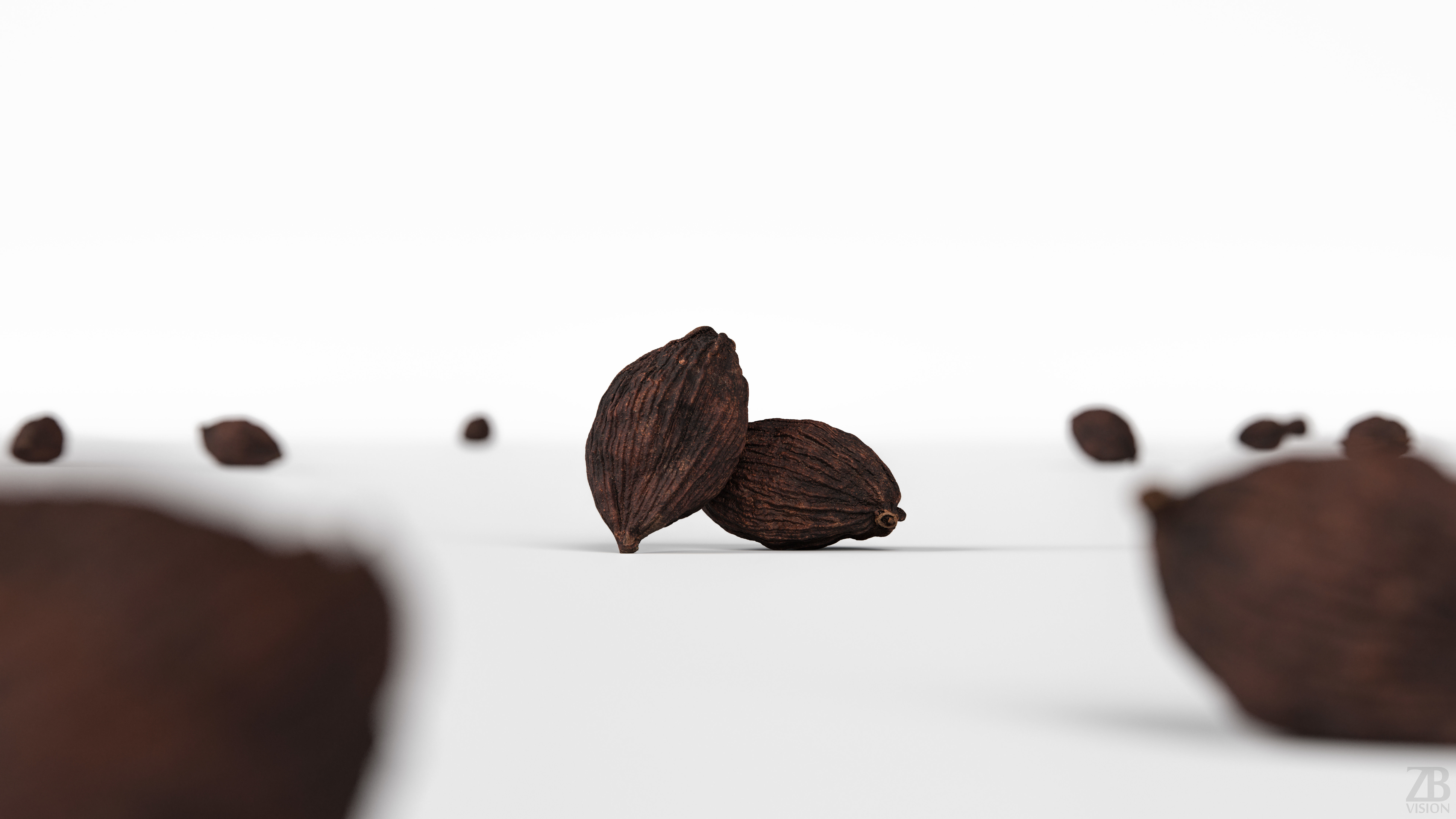Cardamon 3D model_1