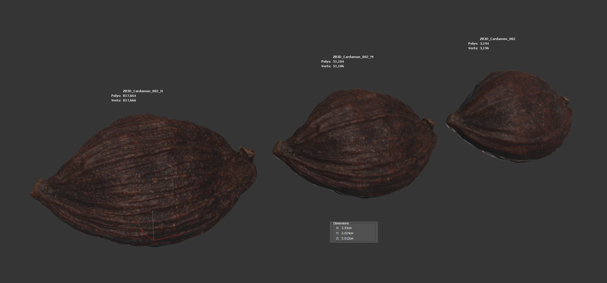 Cardamon 3D model_5