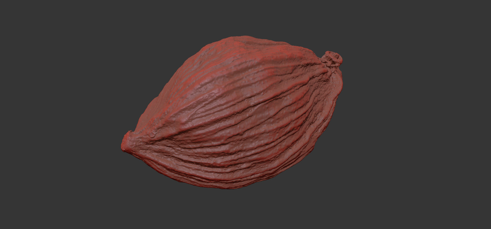 Cardamon 3D model_7