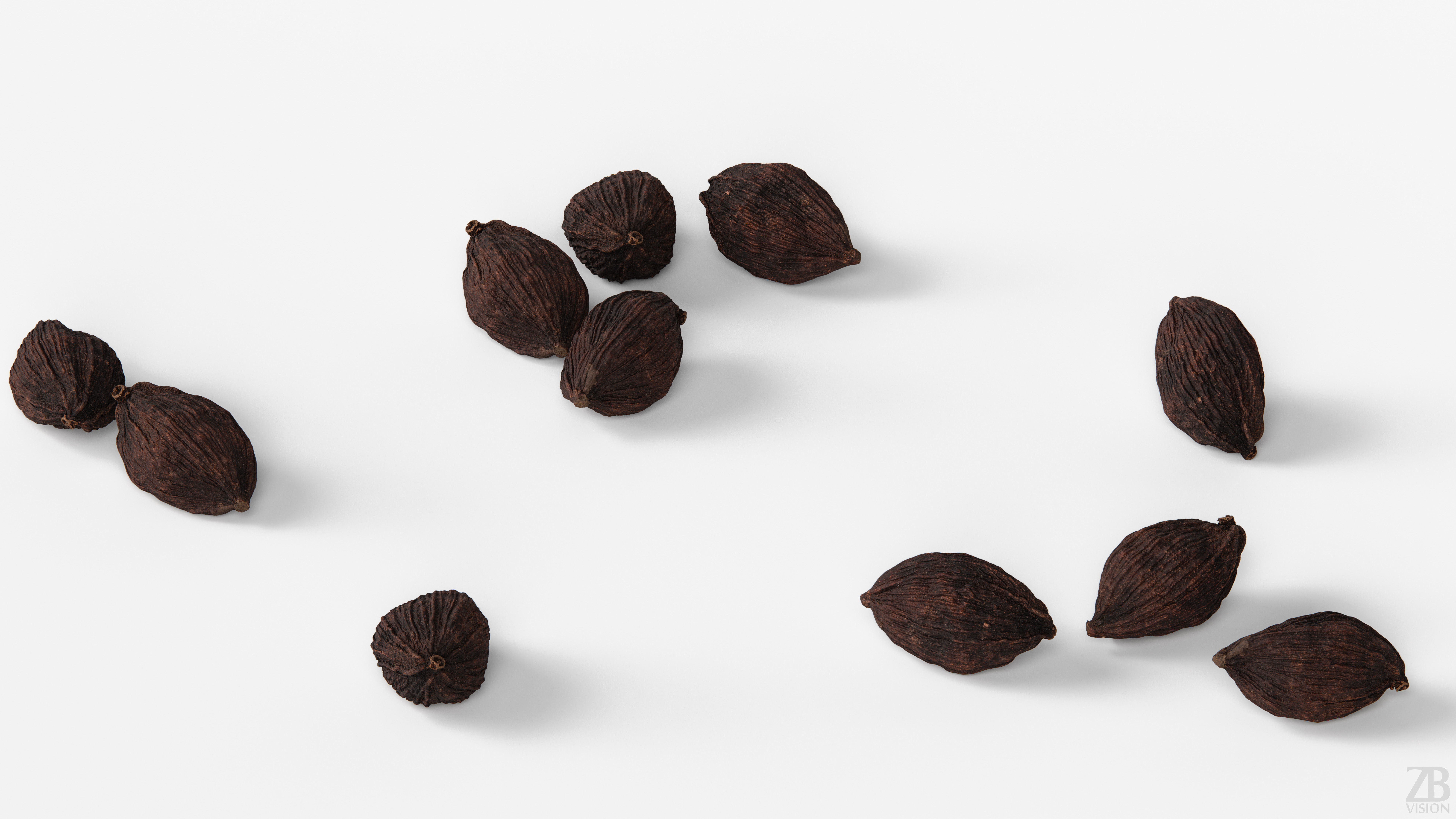 Cardamon 3D model_2