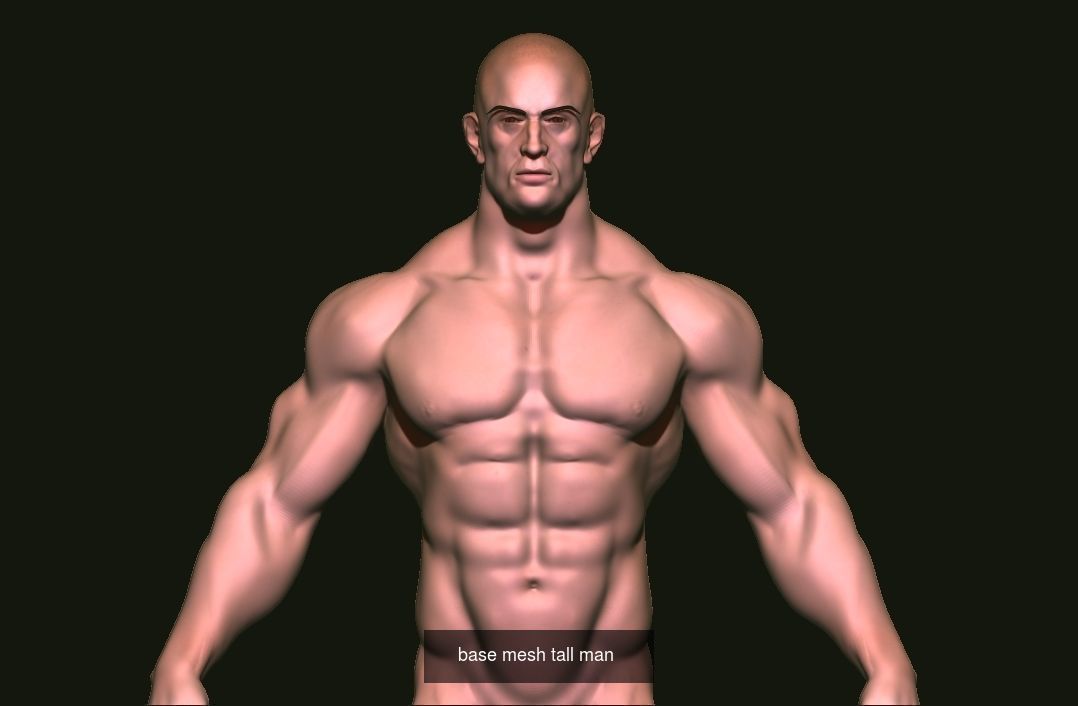 base mesh collection _13