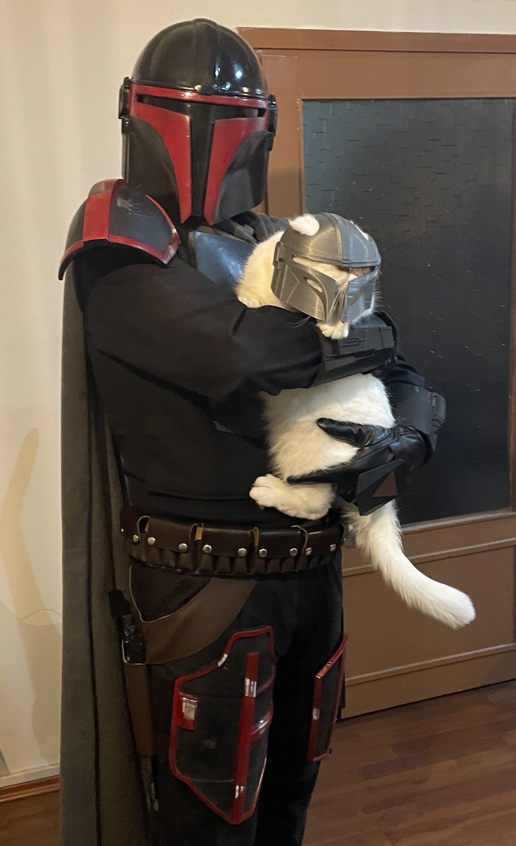 Mandalorian Cat Helmet 3D print model_18