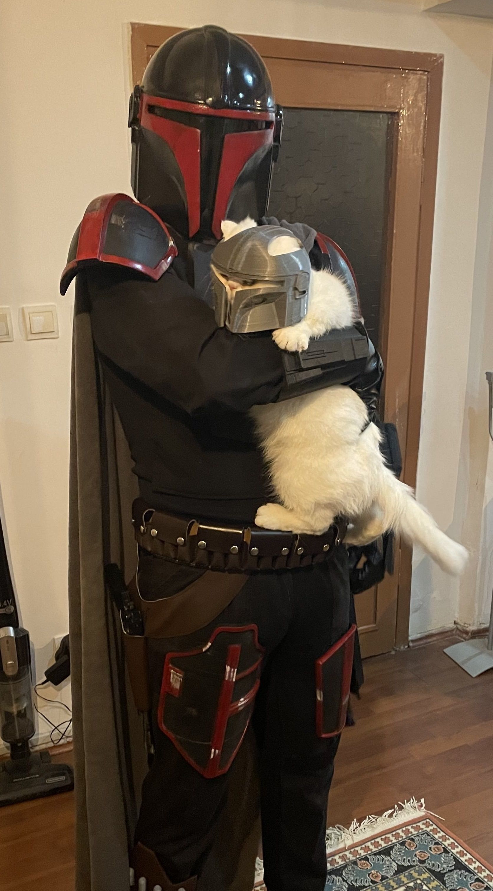 Mandalorian Cat Helmet 3D print model_8