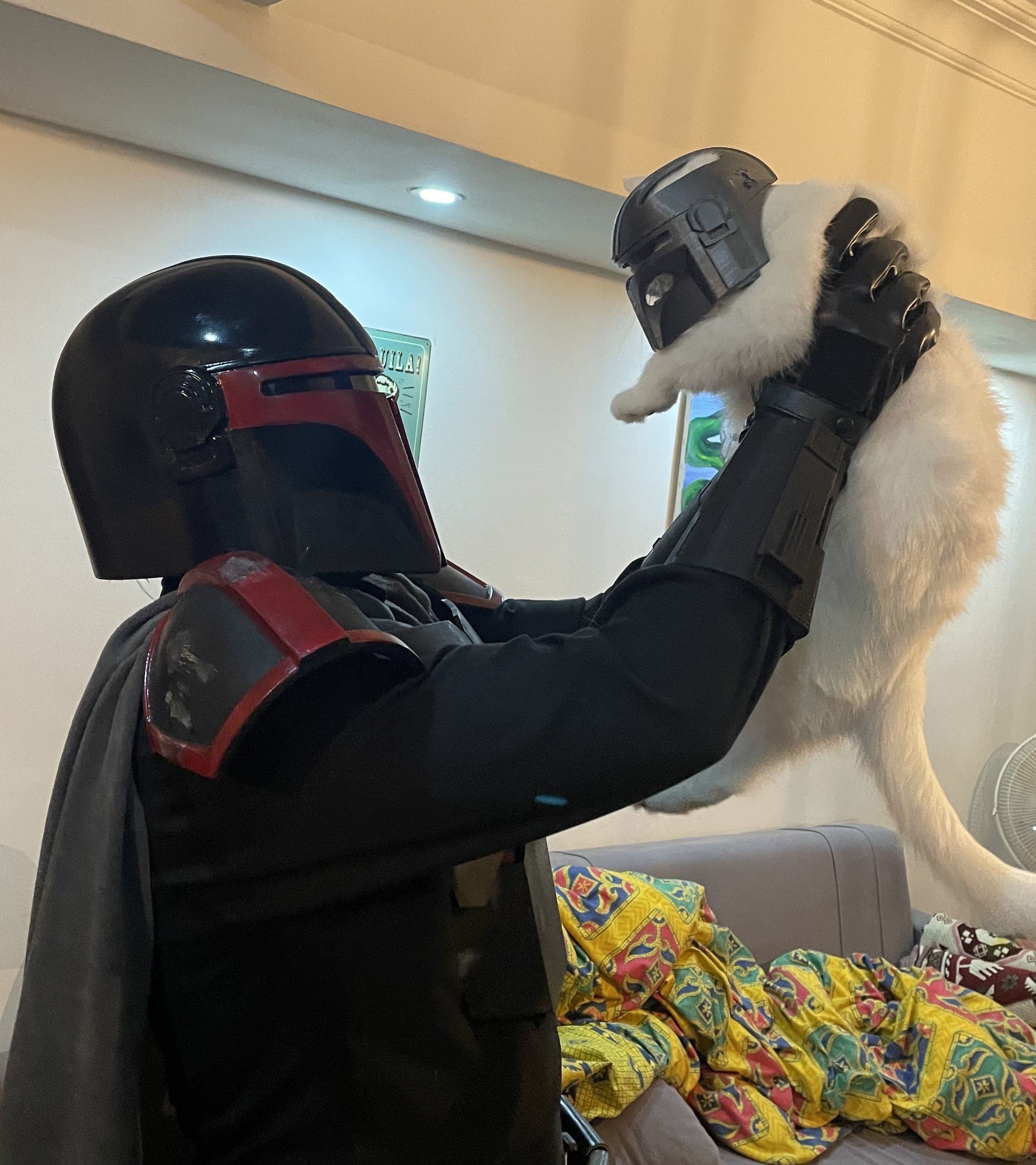 Mandalorian Cat Helmet 3D print model_7