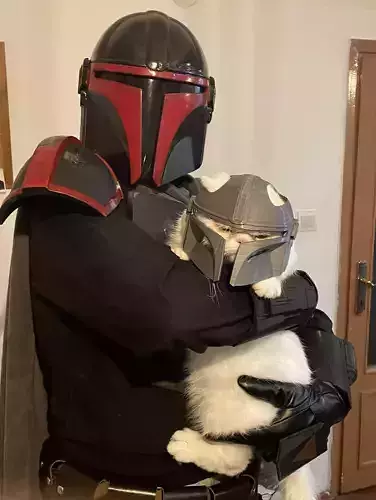 Mandalorian Cat Helmet 3D print model