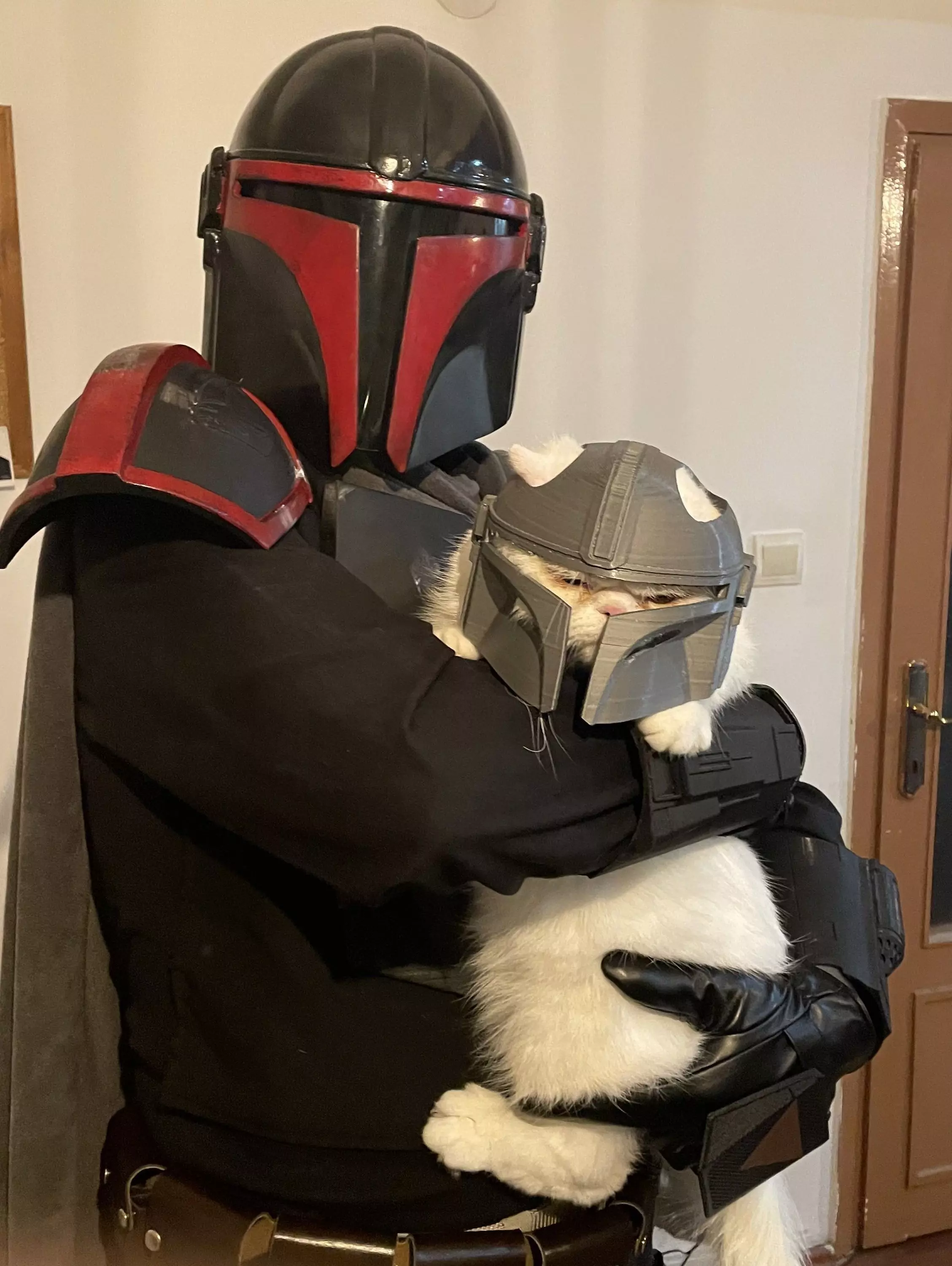 Mandalorian Cat Helmet 3D print model_0