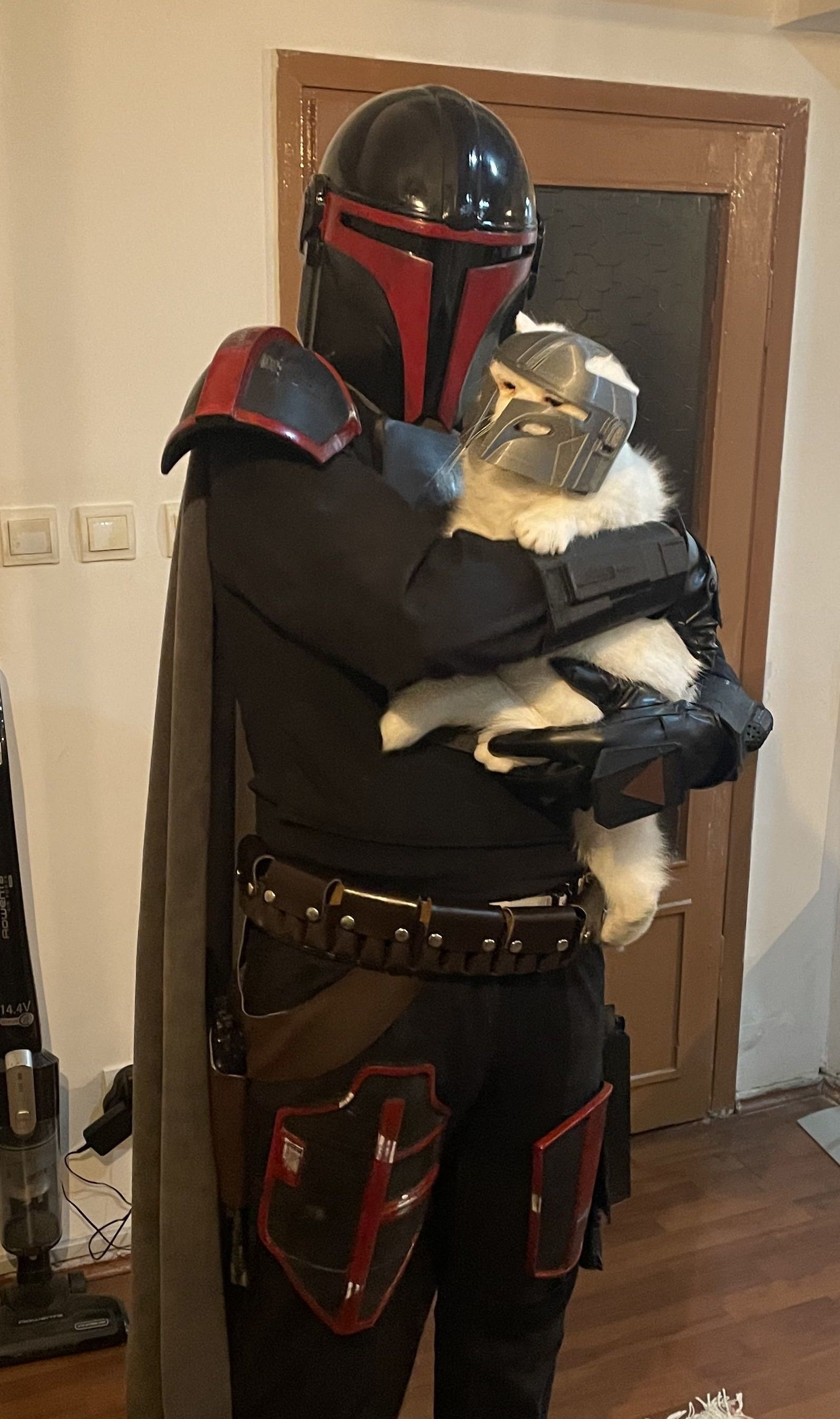 Mandalorian Cat Helmet 3D print model_10