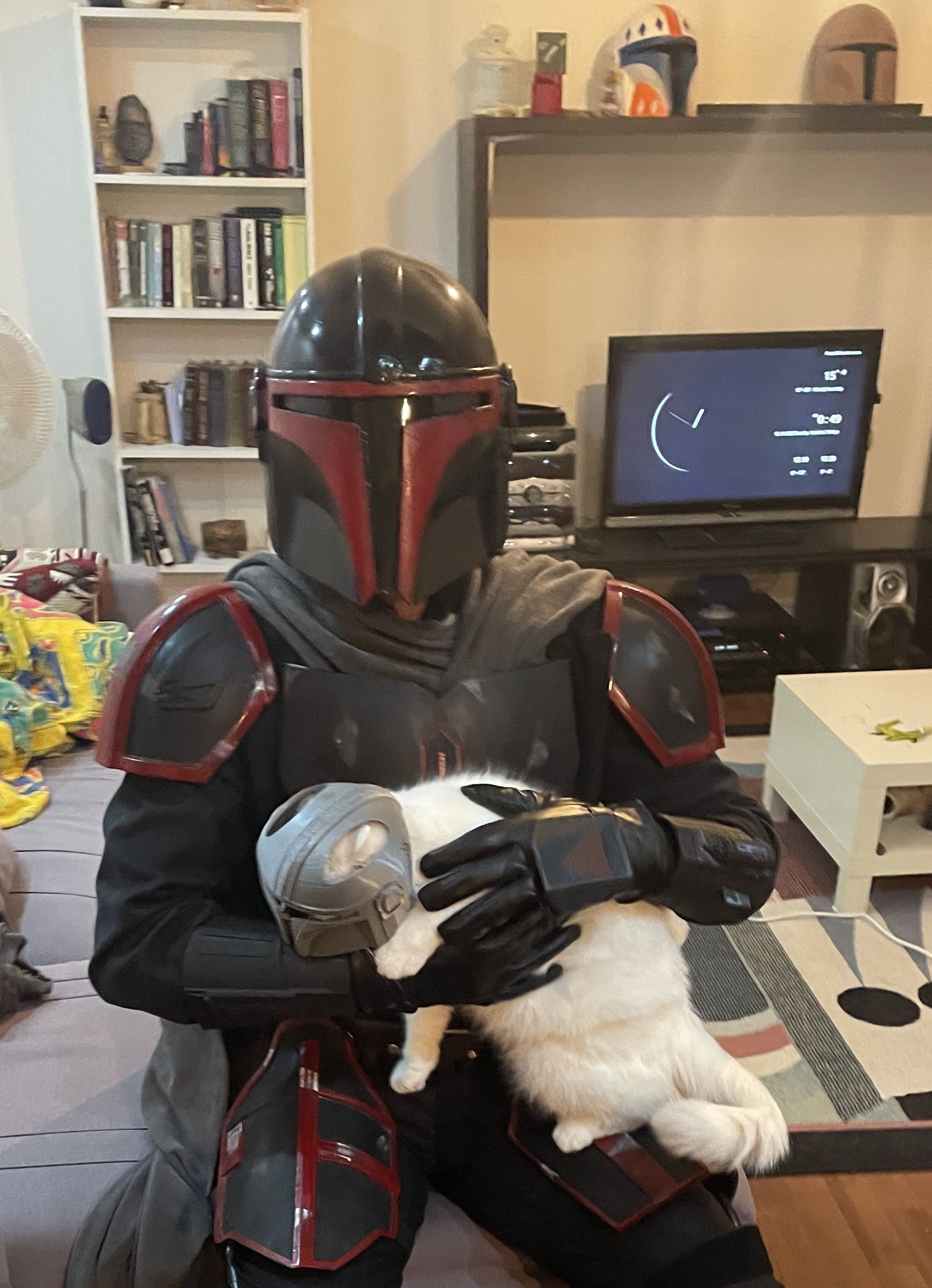 Mandalorian Cat Helmet 3D print model_20