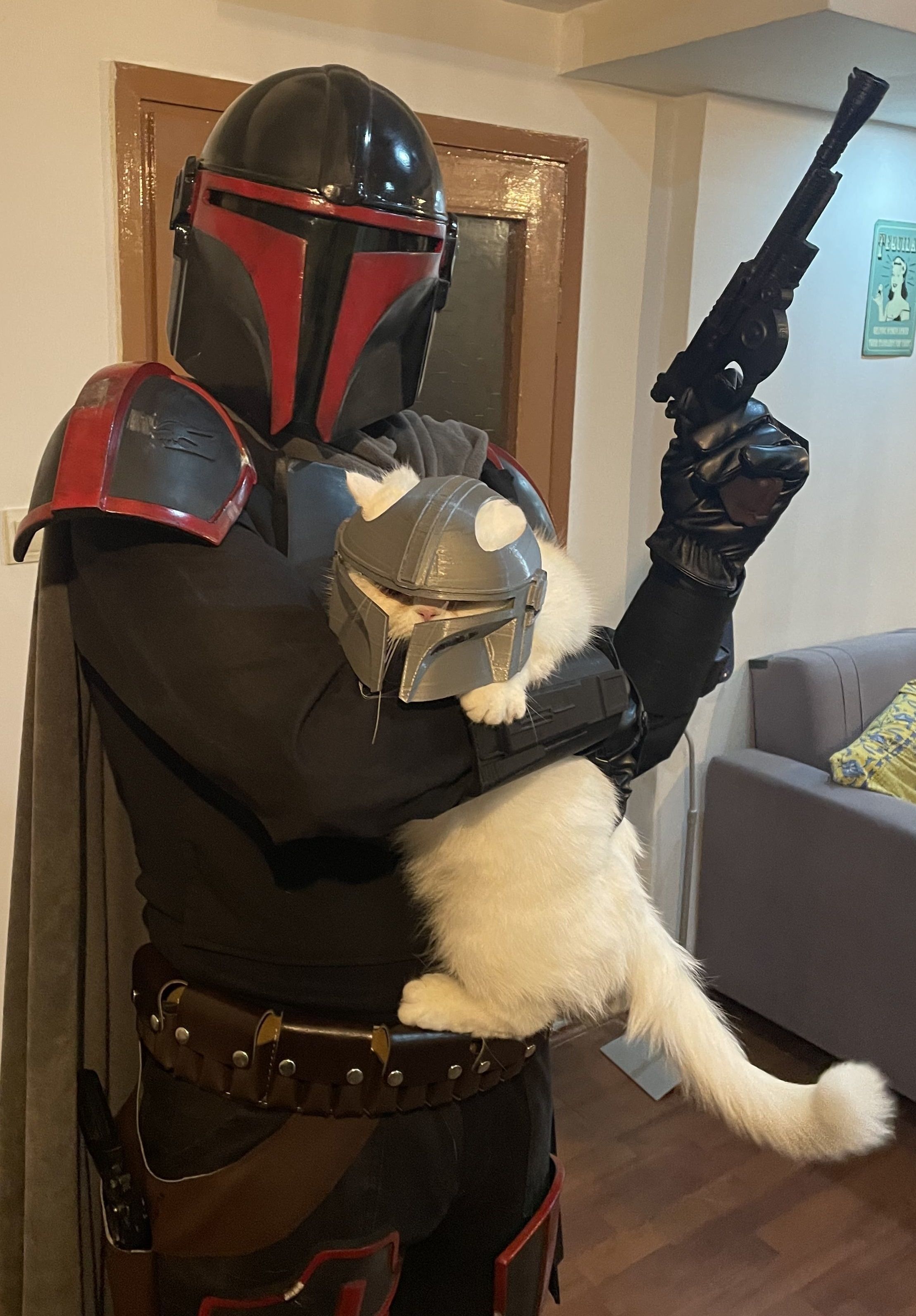 Mandalorian Cat Helmet 3D print model_21