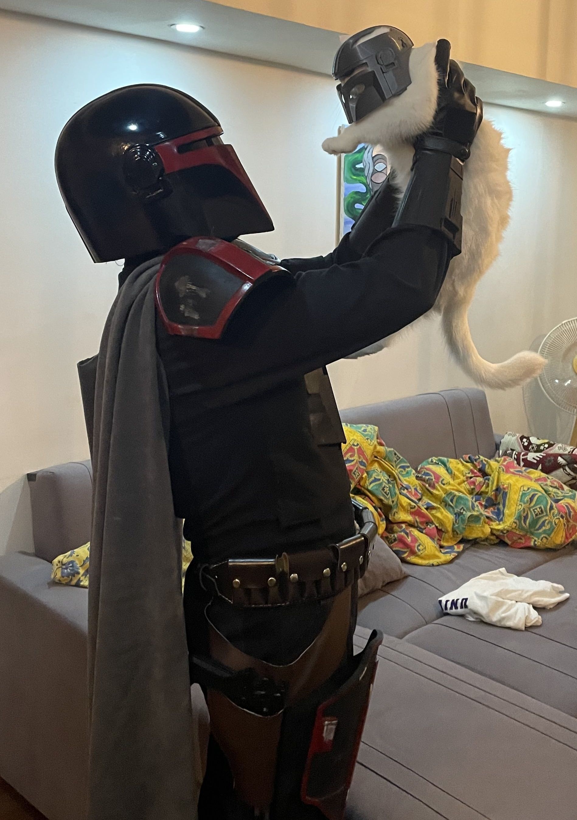 Mandalorian Cat Helmet 3D print model_19