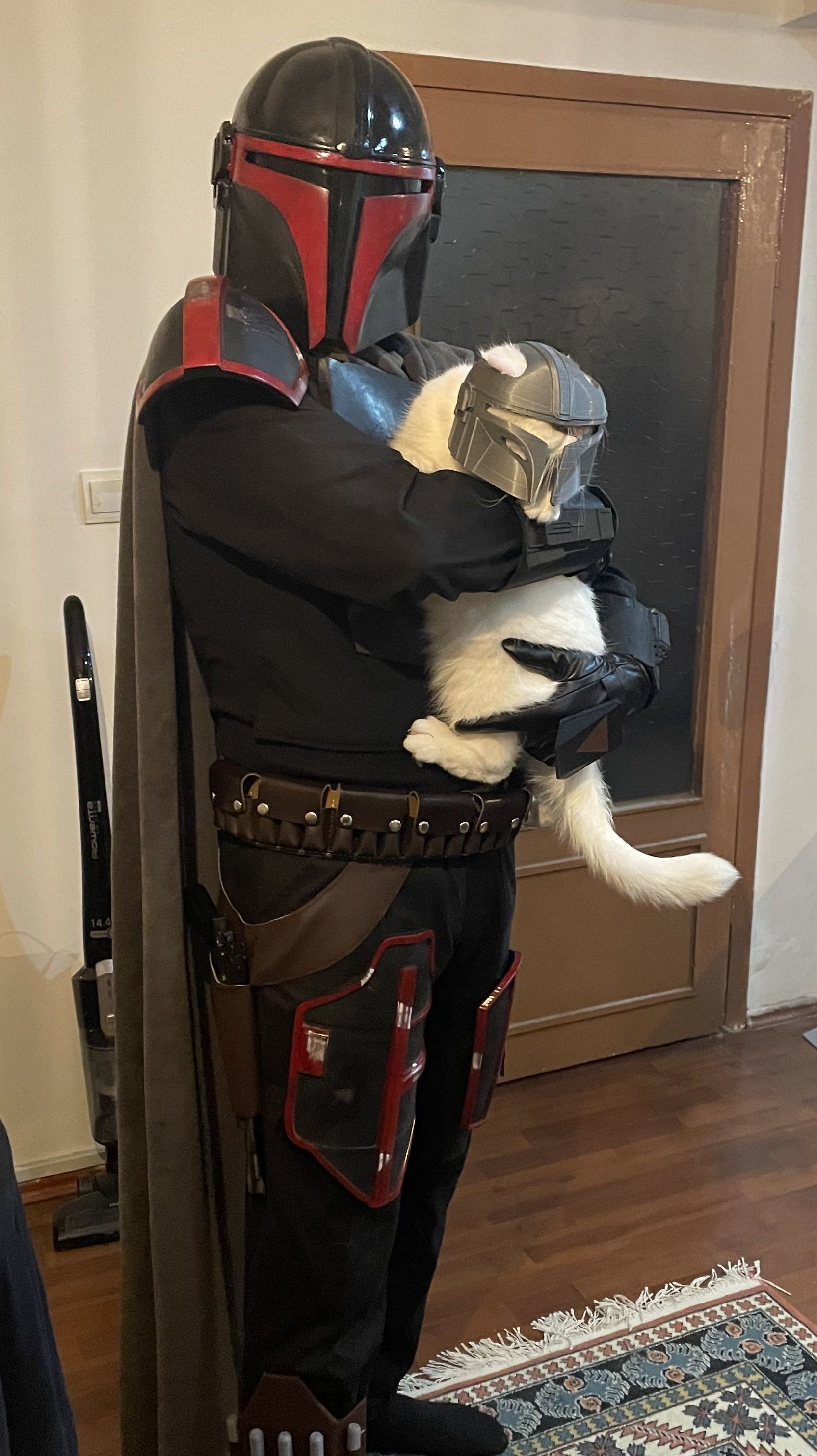 Mandalorian Cat Helmet 3D print model_22