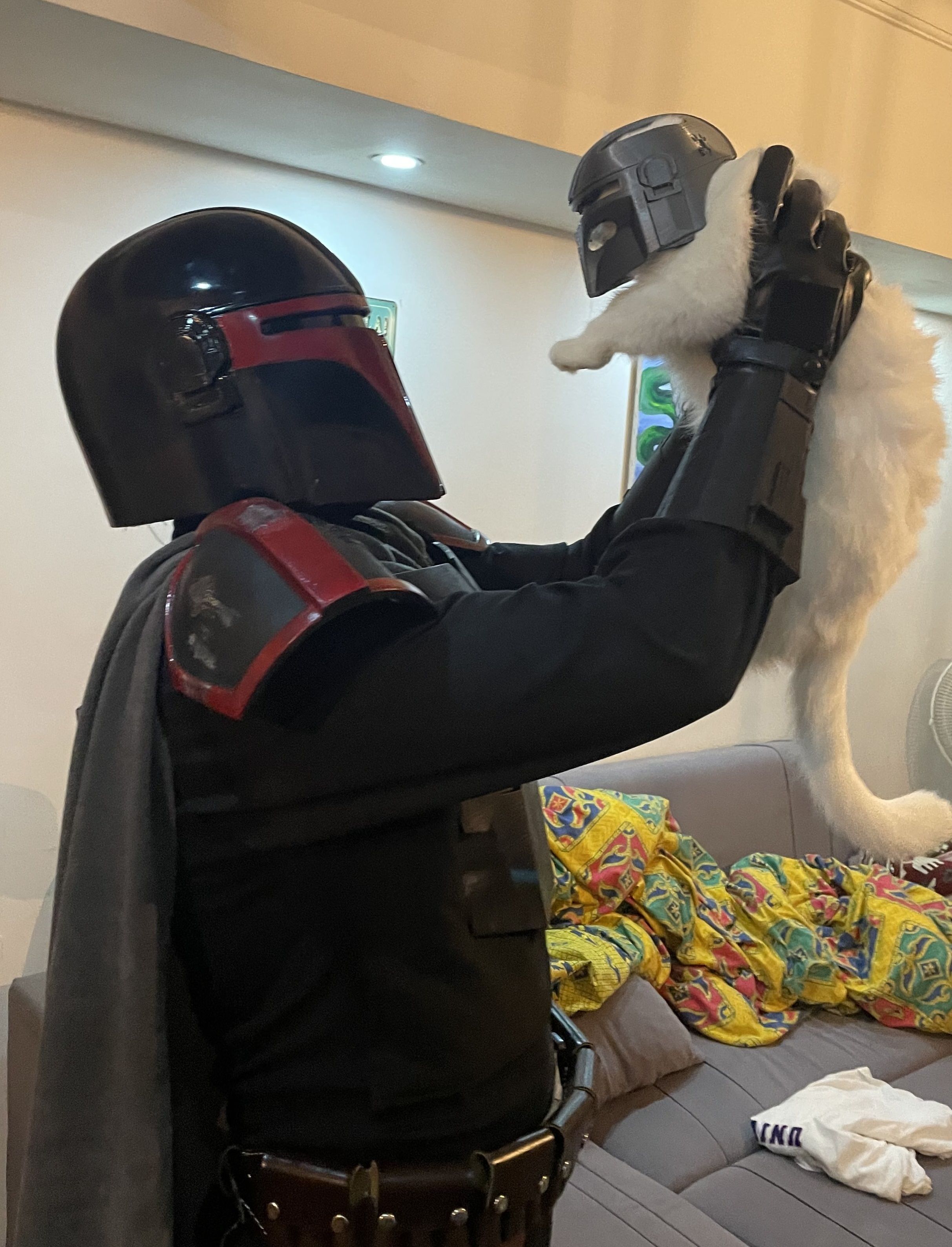 Mandalorian Cat Helmet 3D print model_2