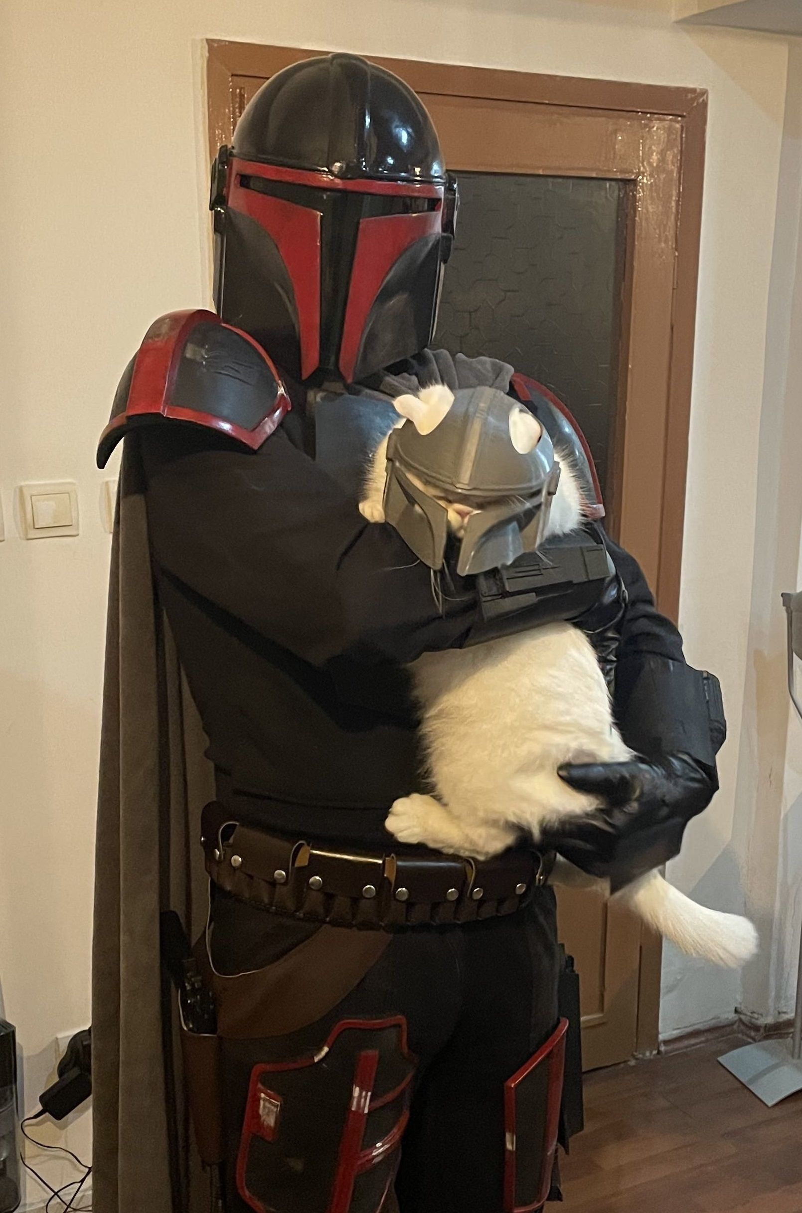 Mandalorian Cat Helmet 3D print model_17