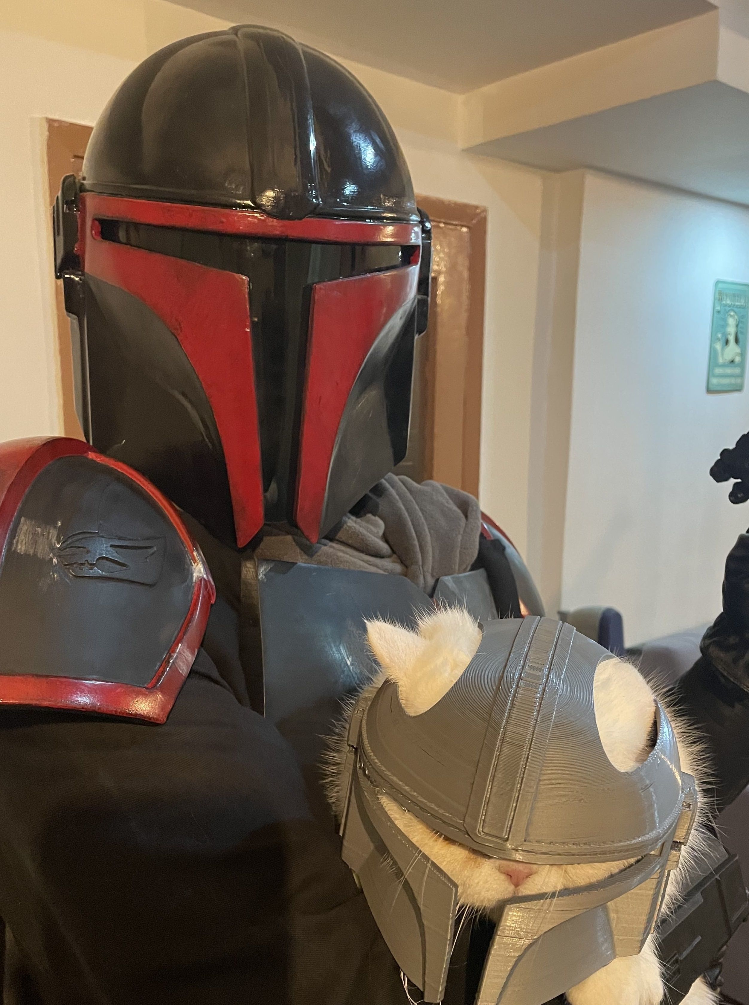 Mandalorian Cat Helmet 3D print model_9