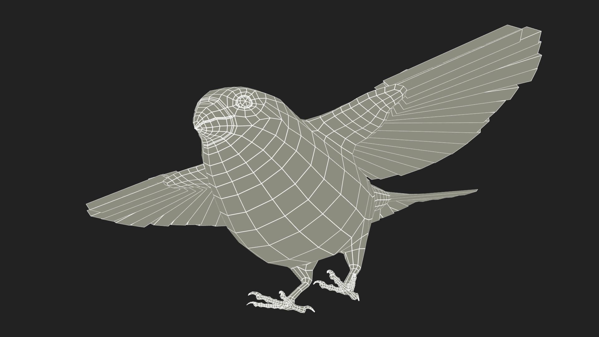 Bullfinch bird Low-poly 3D model_12