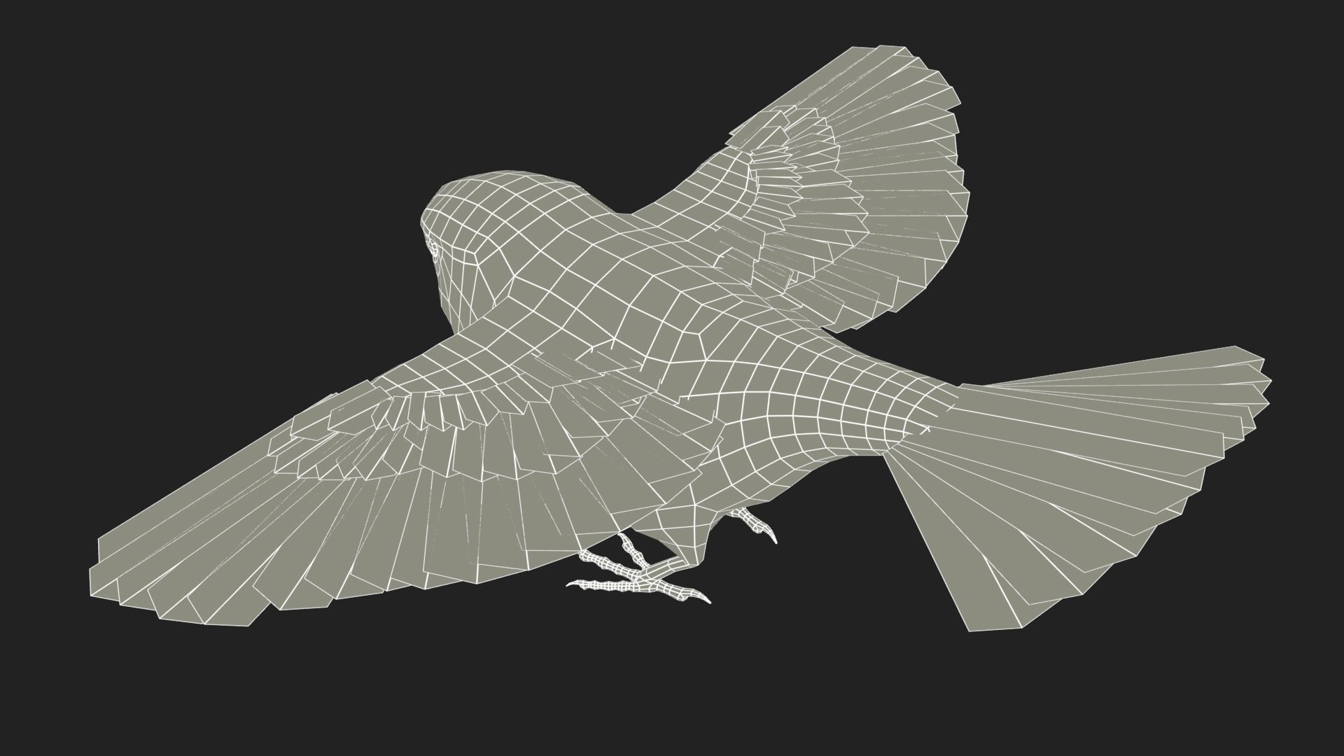 Bullfinch bird Low-poly 3D model_11